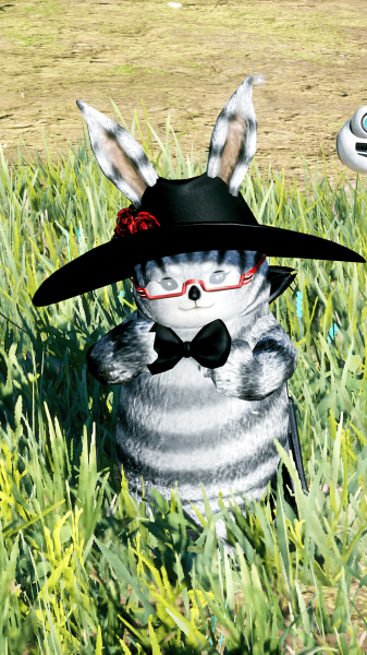 日誌20210911_ゼルダ外.png 日誌20210911_ゼルダ外.png