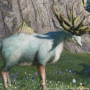 ディアン02.png